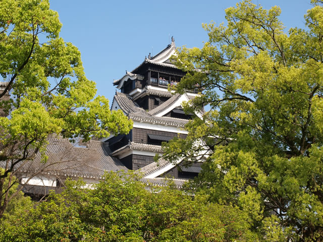 【登城記】熊本城