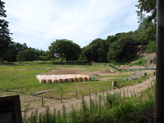 なにやら工事中? なにやら工事中?