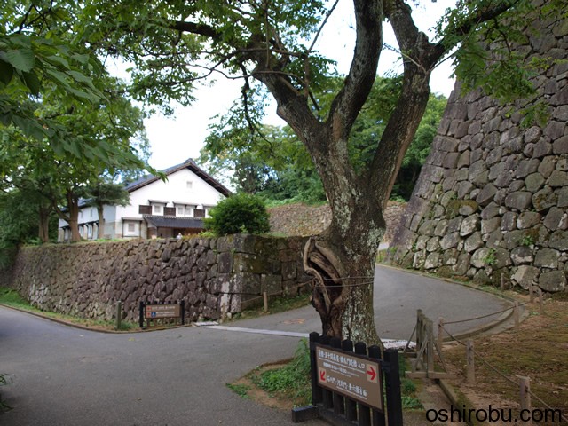 別れ道 別れ道