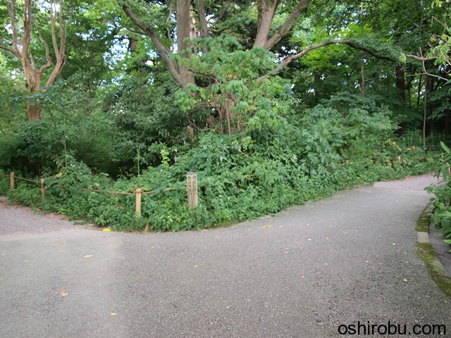 坂を登り切ると別れ道 坂を登り切ると別れ道