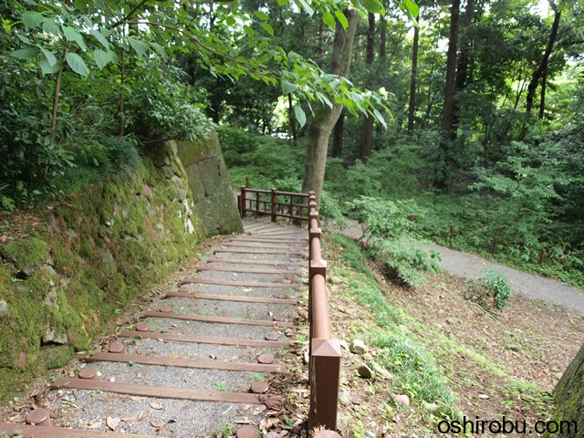 再び自然の中へ 再び自然の中へ