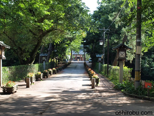 【登城記】高岡城