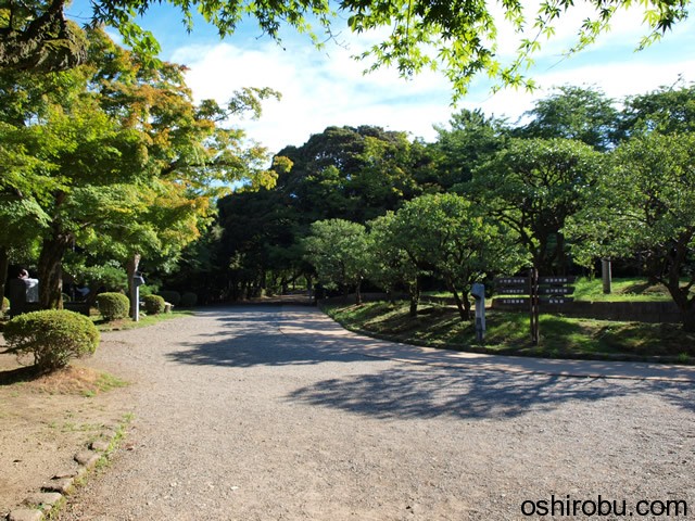 再び小竹薮