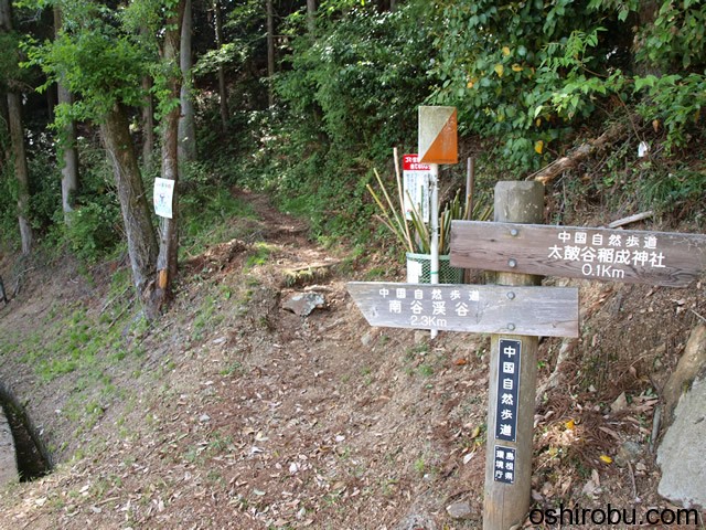 【登城記】津和野城