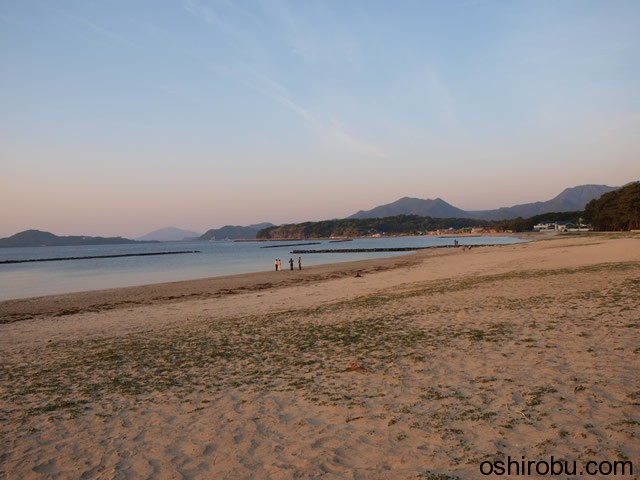 菊ヶ浜海水浴場 菊ヶ浜海水浴場