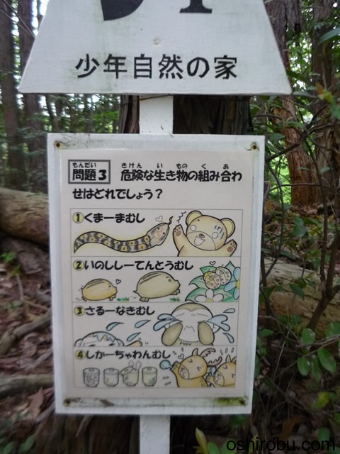 ちょこちょこクイズがある楽しい山道 ちょこちょこクイズがある楽しい山道