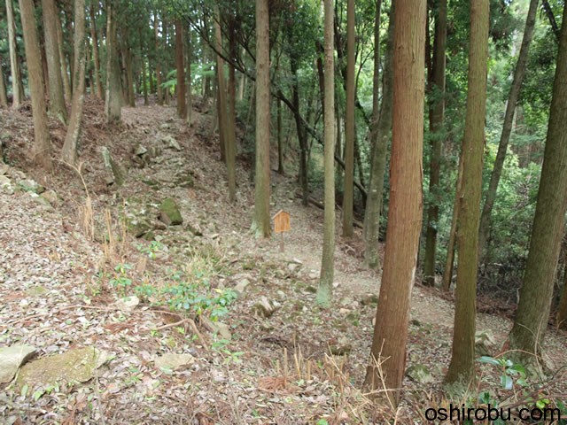 三の丸石垣跡 三の丸石垣跡