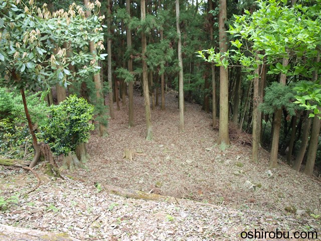 二の丸から見た三の丸 二の丸から見た三の丸