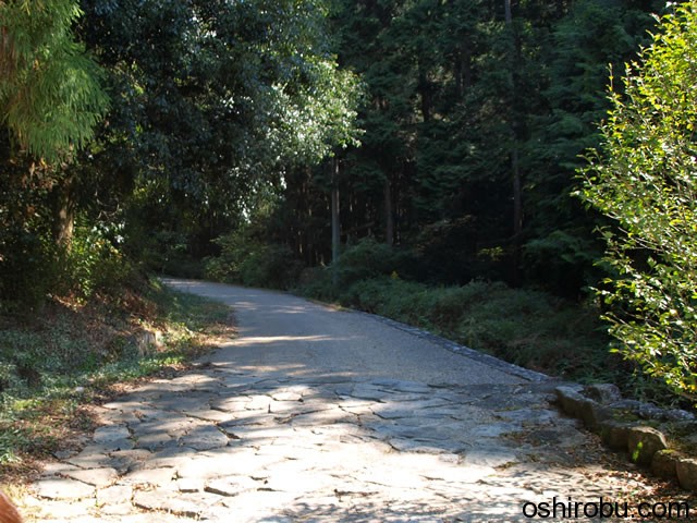 登山道 登山道
