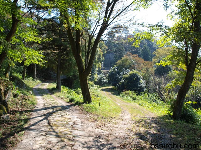 別れ道 別れ道