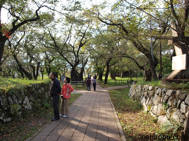 高遠城 本丸 高遠城 本丸