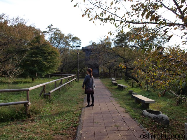 神社の向かいに建物 神社の向かいに建物