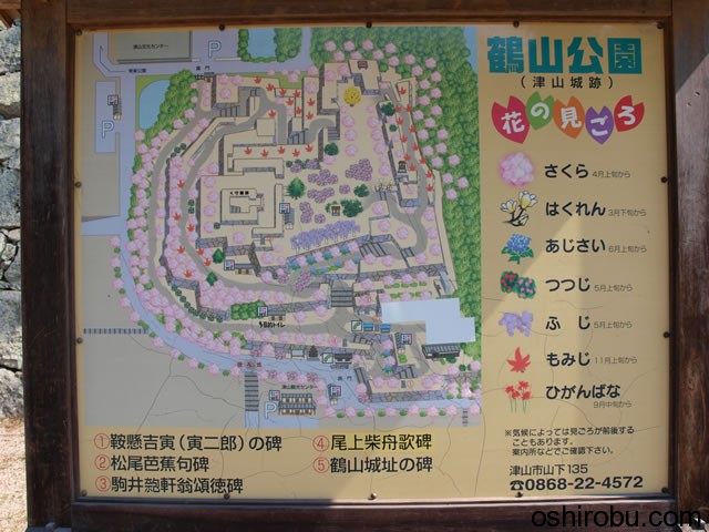 鶴山公園 花の見ごろ 鶴山公園 花の見ごろ