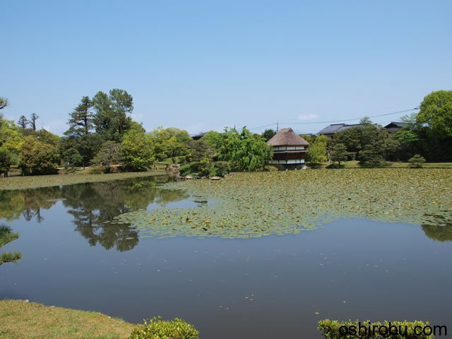 池泉回遊式庭園 池泉回遊式庭園