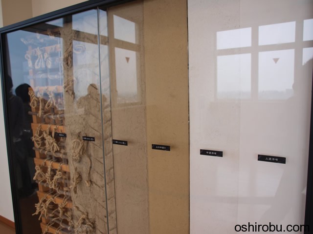 展示物 展示物