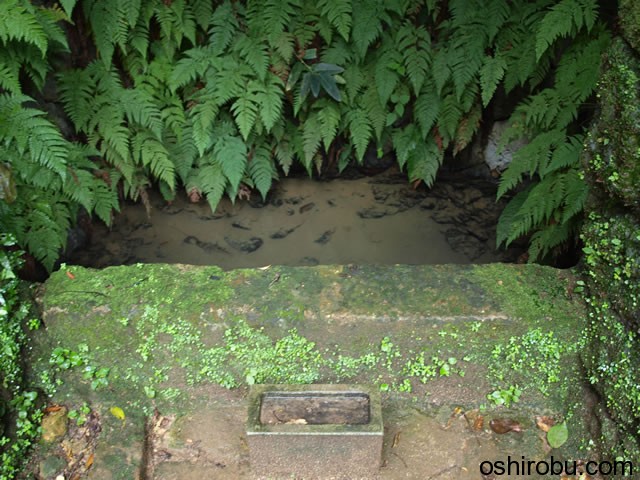大井戸