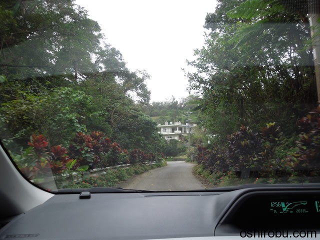 山道を奥へ