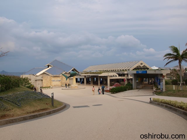 美ら海水族館