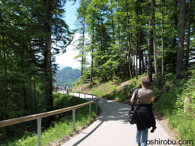 山道をゆく