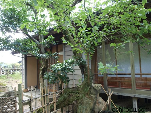 宝扇庵