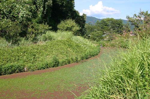 湯築城