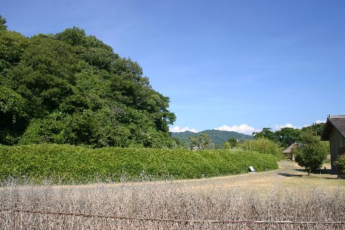湯築城