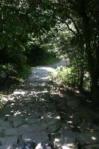 宇和島城