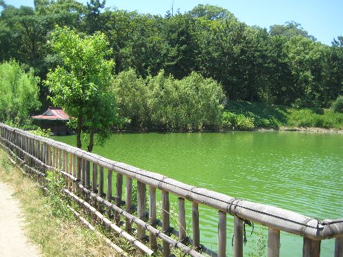 丸亀城