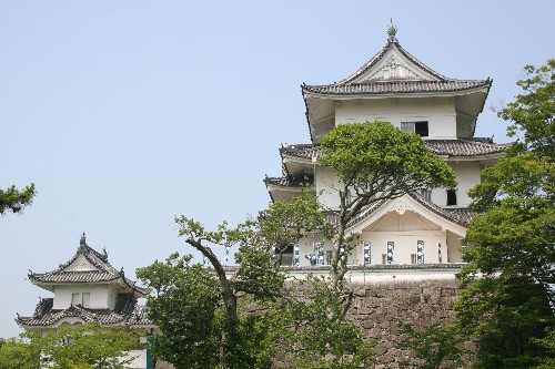 伊賀上野城 遠景