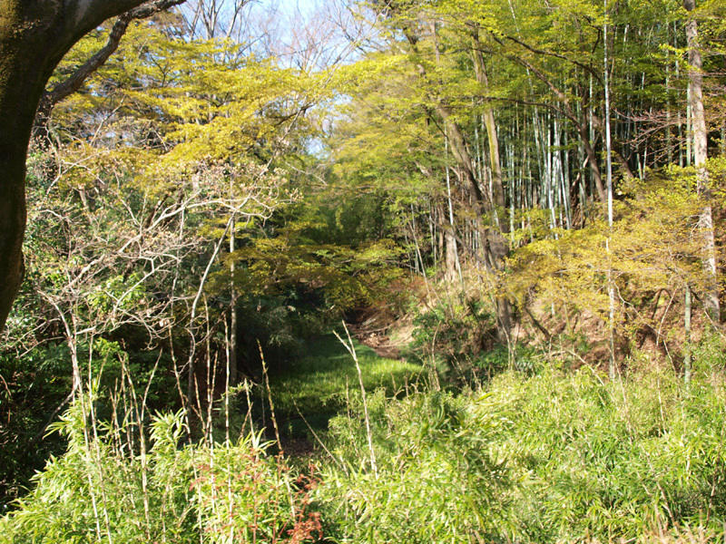 お城部ログ ~日本のお城を攻めるお城部のブログ~-武田神社