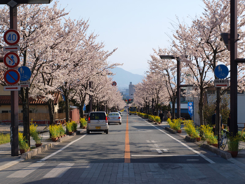 お城部ログ ~日本のお城を攻めるお城部のブログ~-武田神社