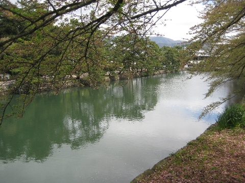 彦根城 石垣の上から