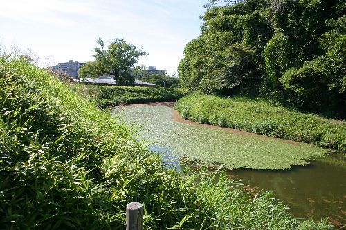 湯築城