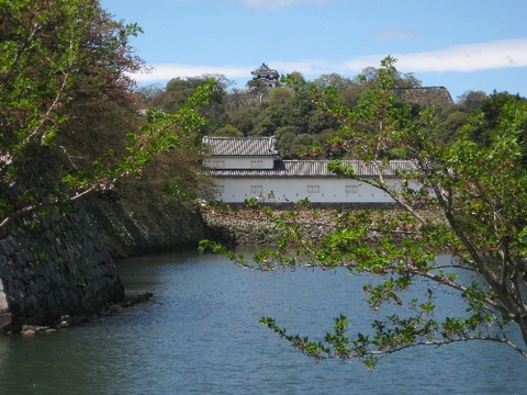 【登城記】彦根城